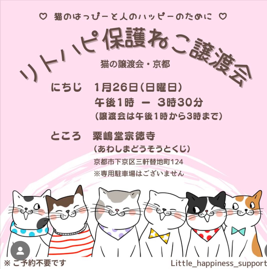 リトハピ保護ねこ会　