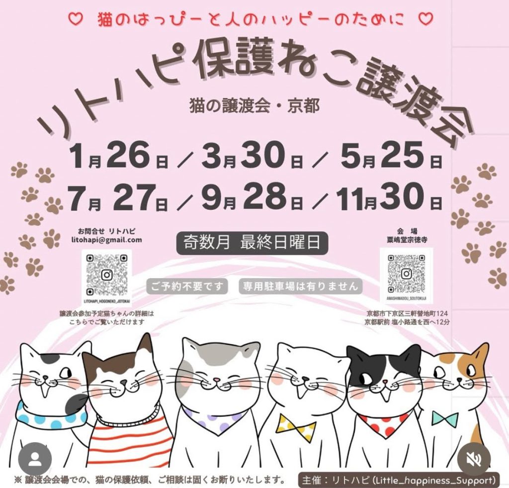 リトハピ保護ねこ会　　５月25日（日）