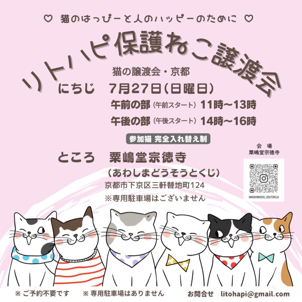 リトハピ保護ねこ譲渡会